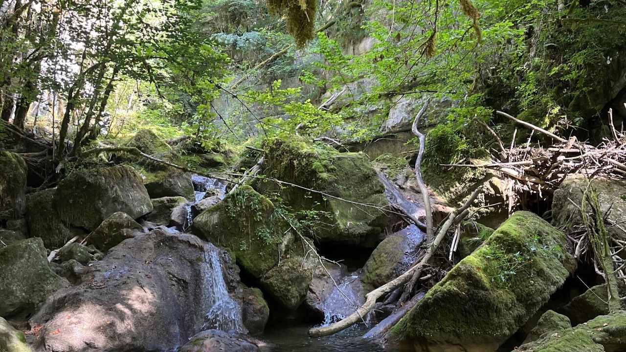 Photo of Others in Doucier