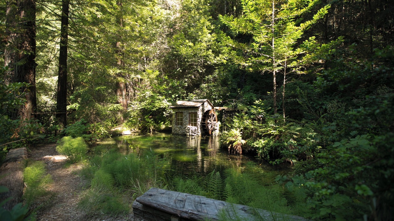 Photo of Others in Cazadero