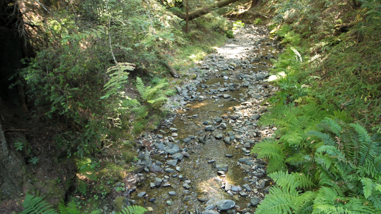 Photo of Others in Cazadero