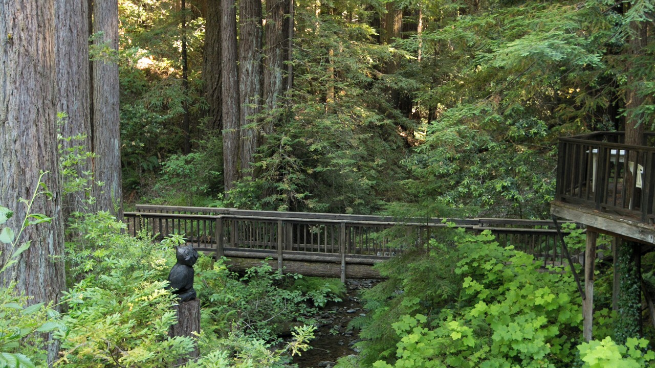 Photo of Others in Cazadero