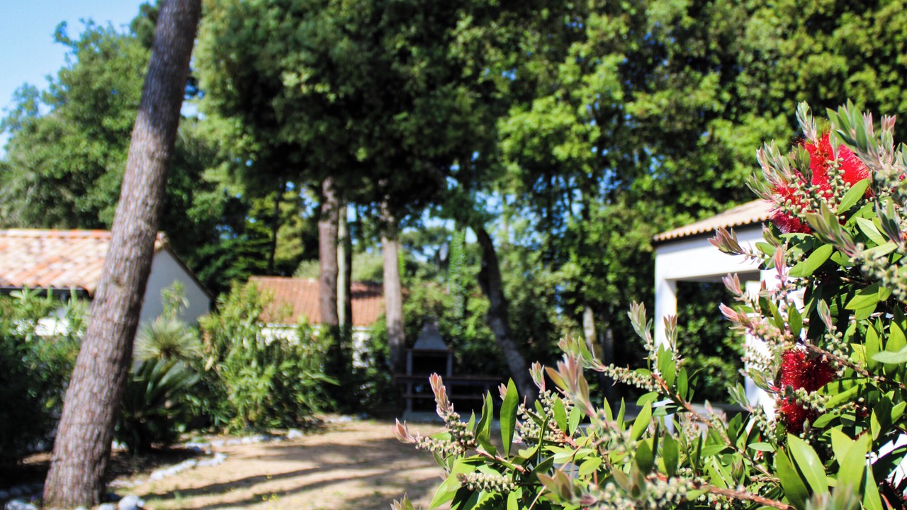 Photo of Outdoor in Bretignolles-sur-Mer