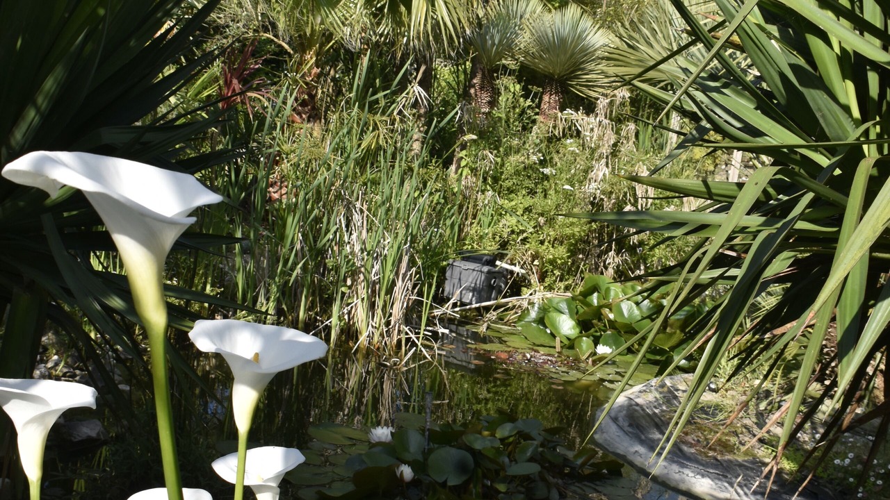 Photo of Outdoor in Surtainville