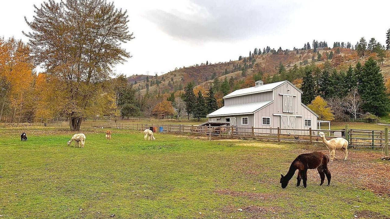 Photo of Others in The Dalles