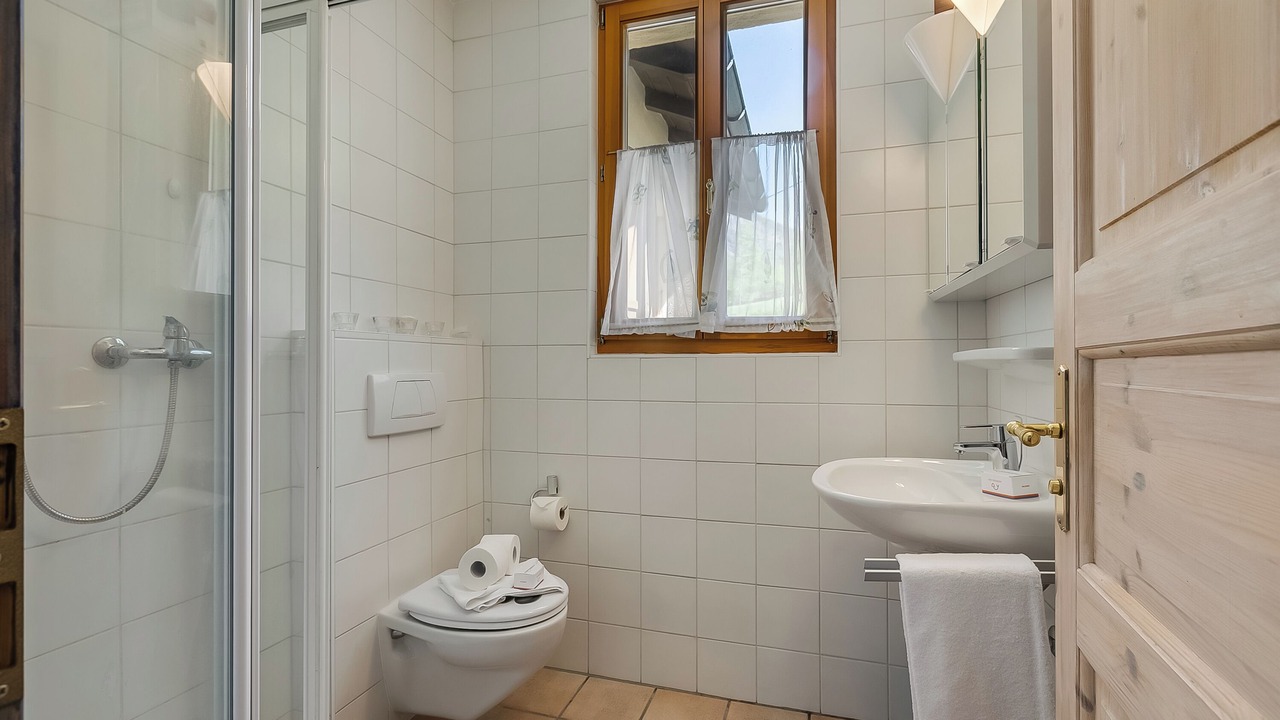 Photo of Bathroom in Lavizzara