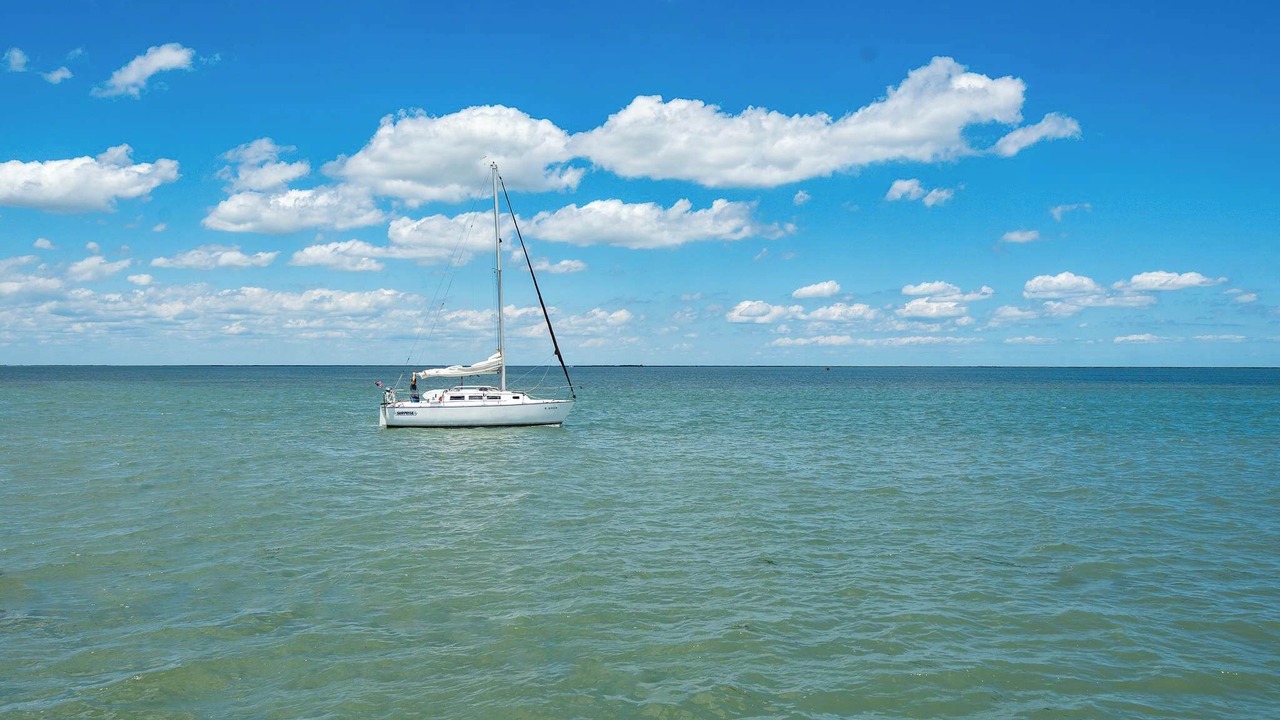 Photo of Outdoor in San Patricio County