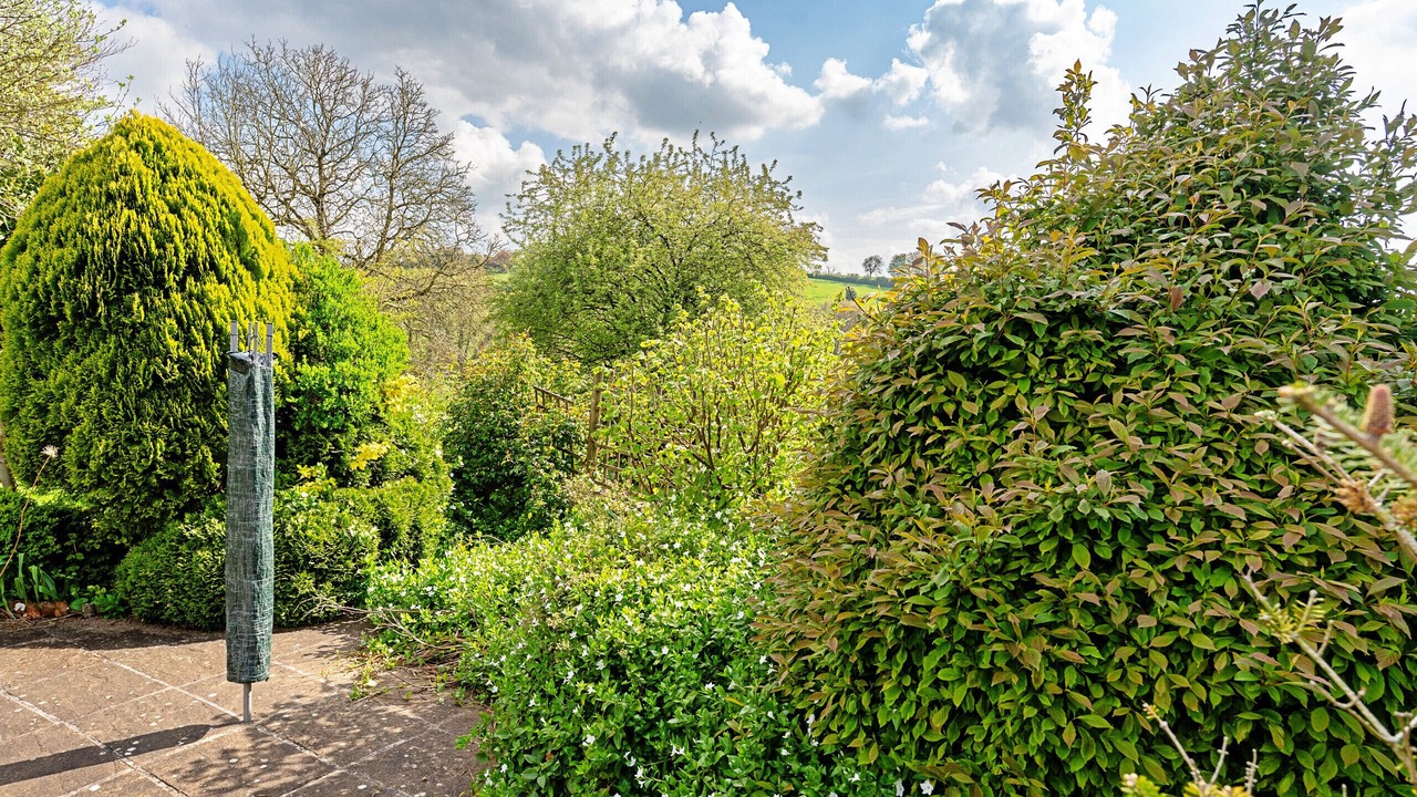 Photo of Outdoor in Batcombe