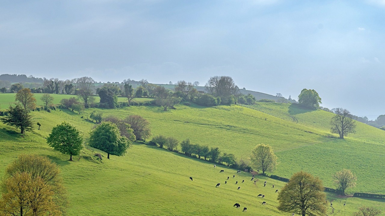 Photo of Others in Batcombe