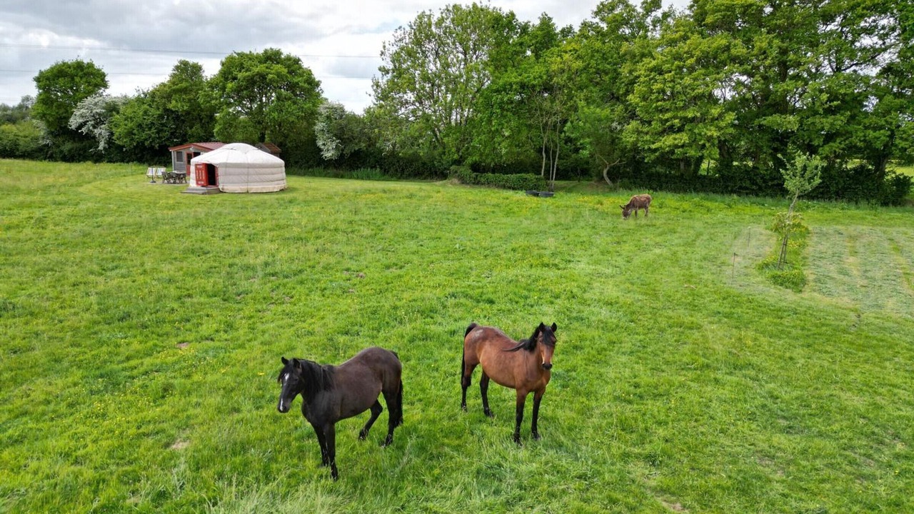 Photo of Others in Denneville