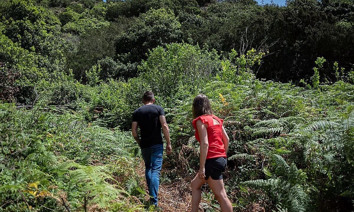Photo of Others in Olocau