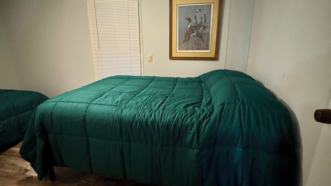 Photo of Bedroom in Hornbeak