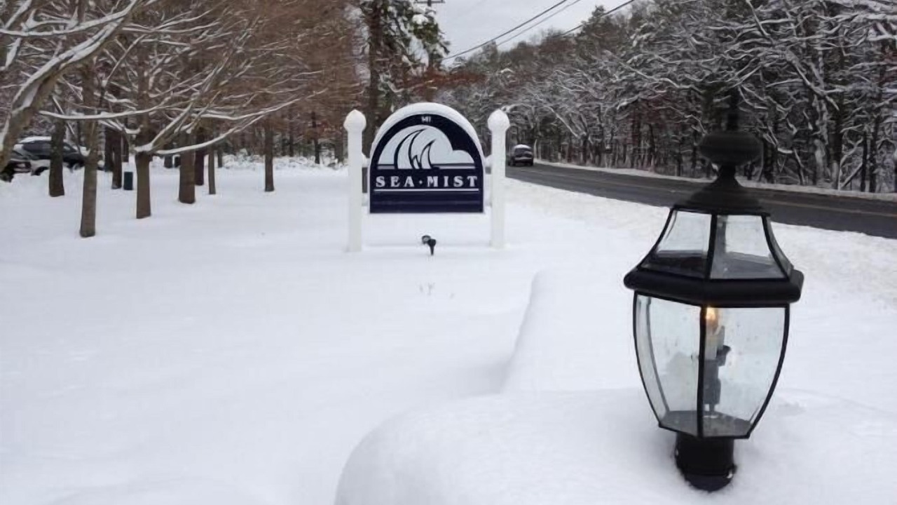 Photo of Outdoor in Mashpee