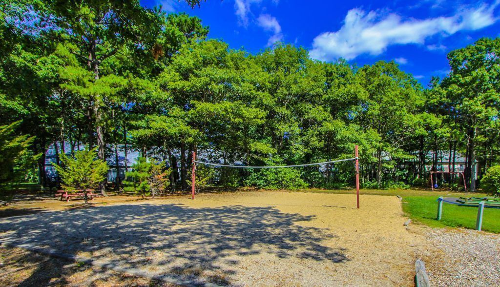 Photo of Others in Mashpee