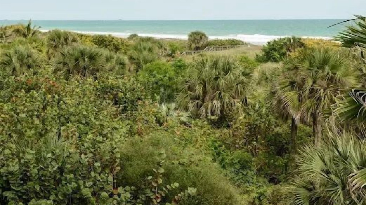 Photo of Others in Banana River Estates