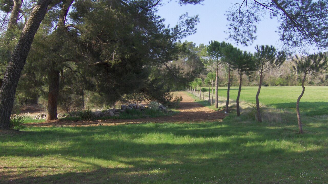 Photo of Others in Fox-Amphoux