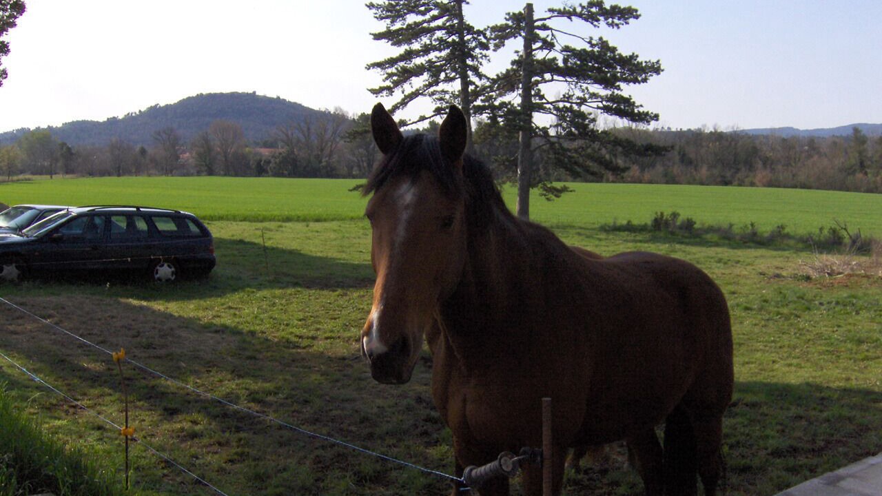 Photo of Others in Fox-Amphoux