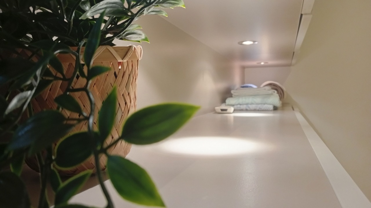 Photo of Others in Gambetta