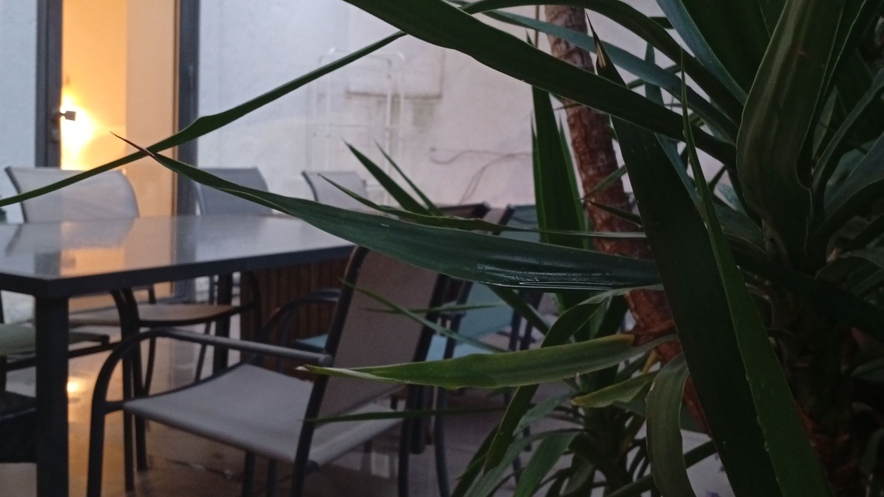 Photo of Outdoor in Gambetta