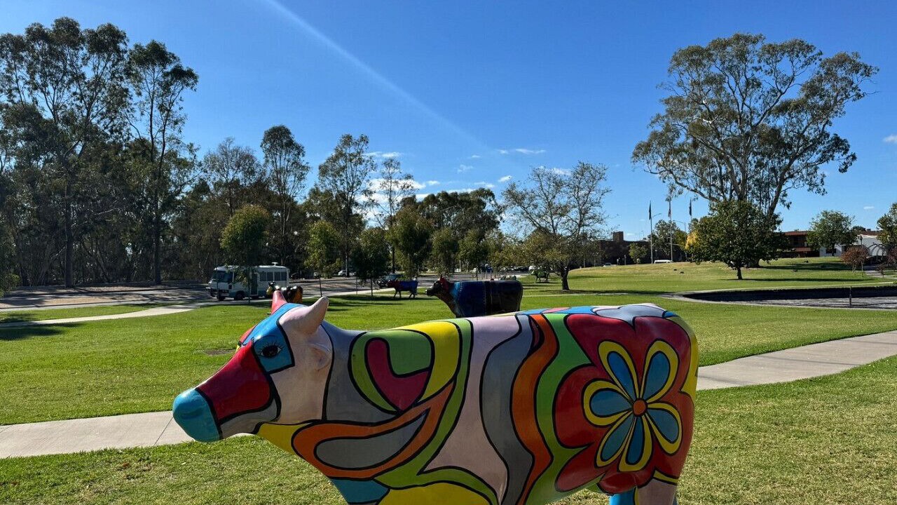 Photo of Others in Shepparton South