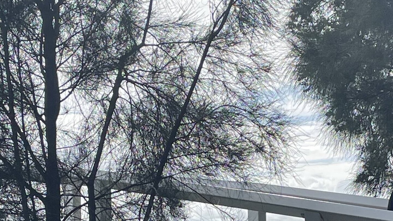 Photo of Others in Central Coast