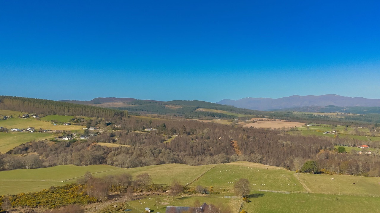 Photo of Others in Lewiston