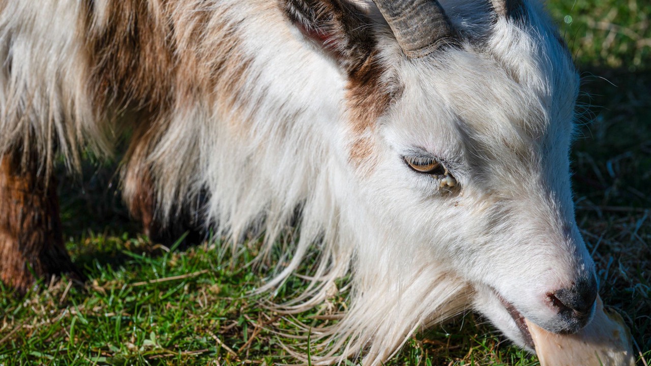 Photo of Others in Lewiston