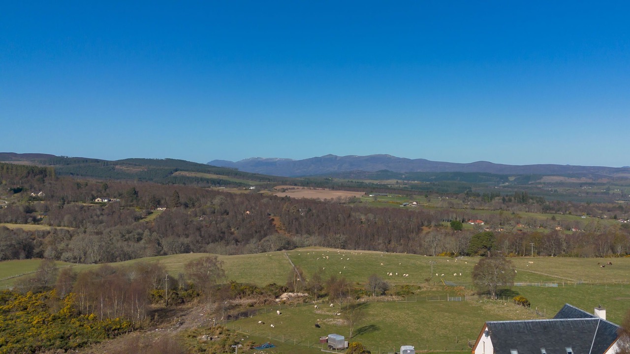 Photo of Others in Lewiston