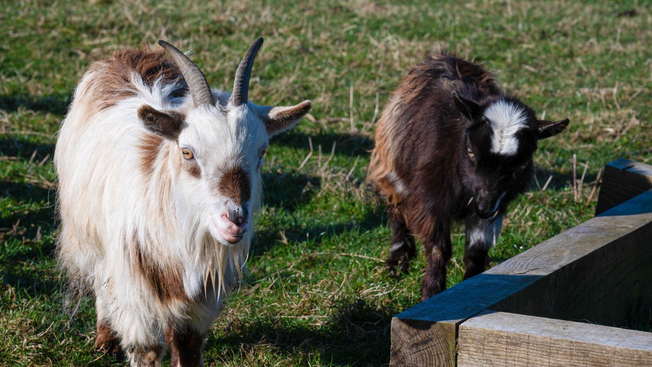Photo of Others in Lewiston