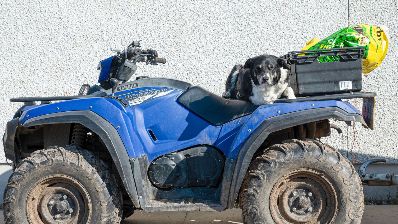 Photo of Others in Lewiston