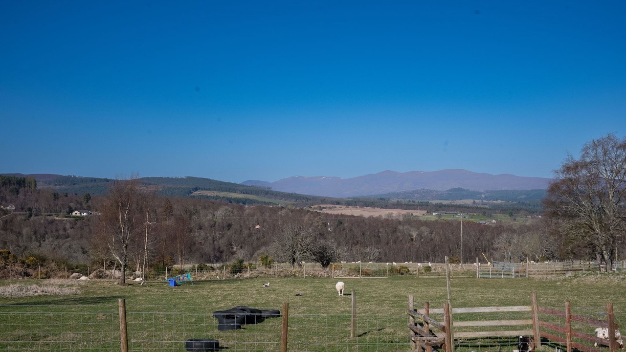 Photo of Others in Lewiston