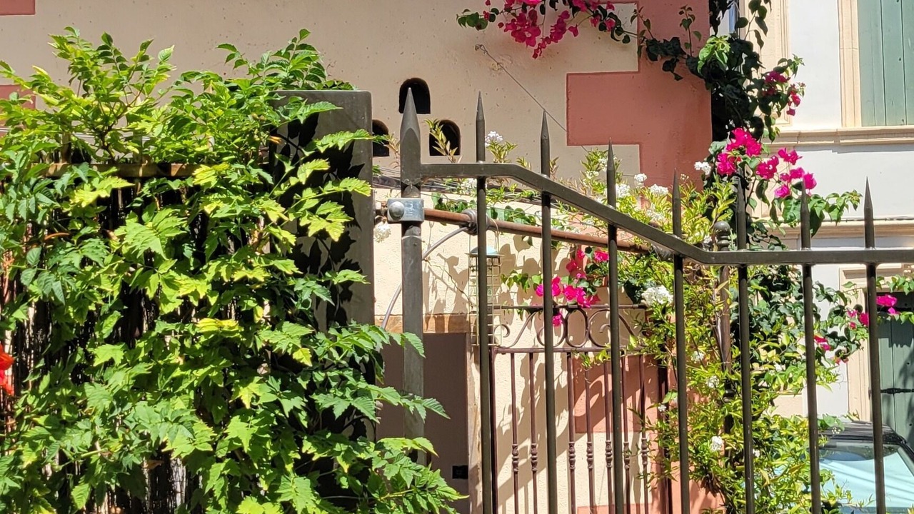 Photo of Outdoor in Peyriac-de-Mer