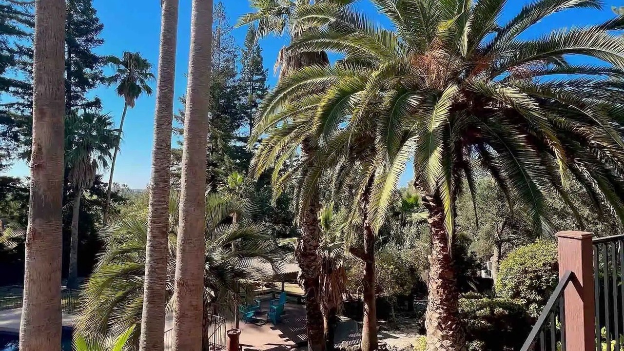 Photo of Others in Granite Bay