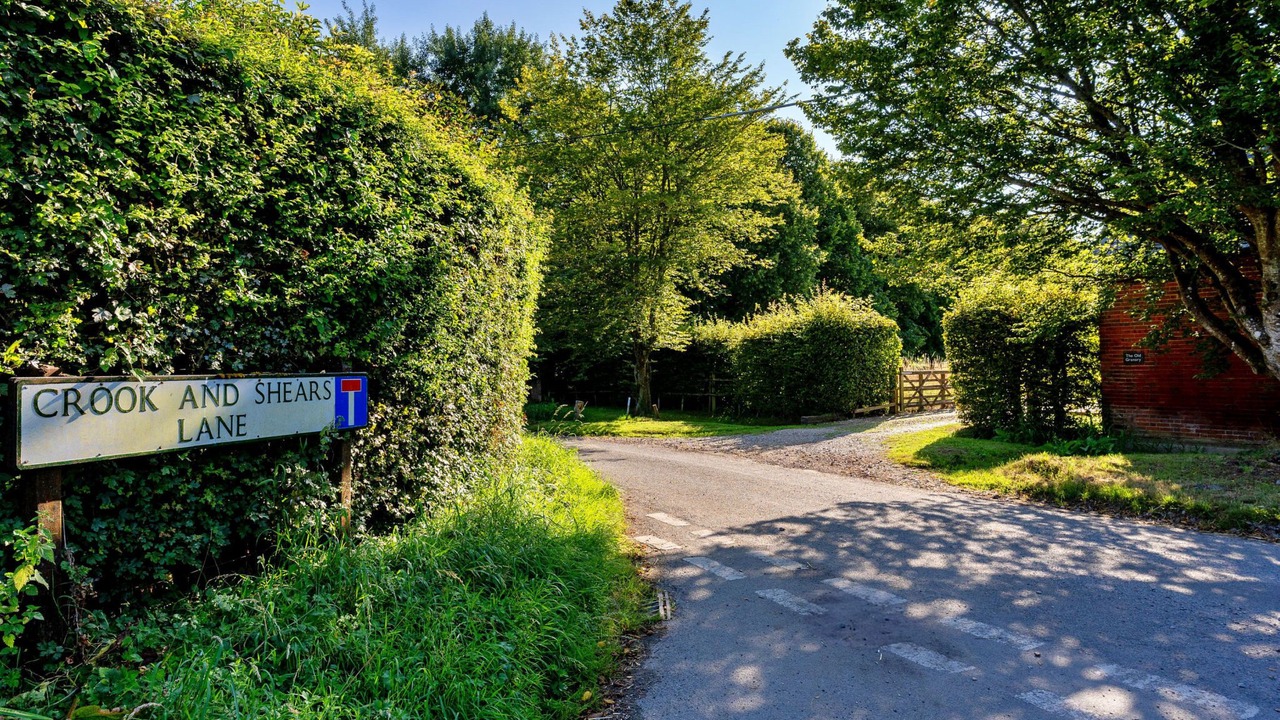 Photo of Others in Freefolk