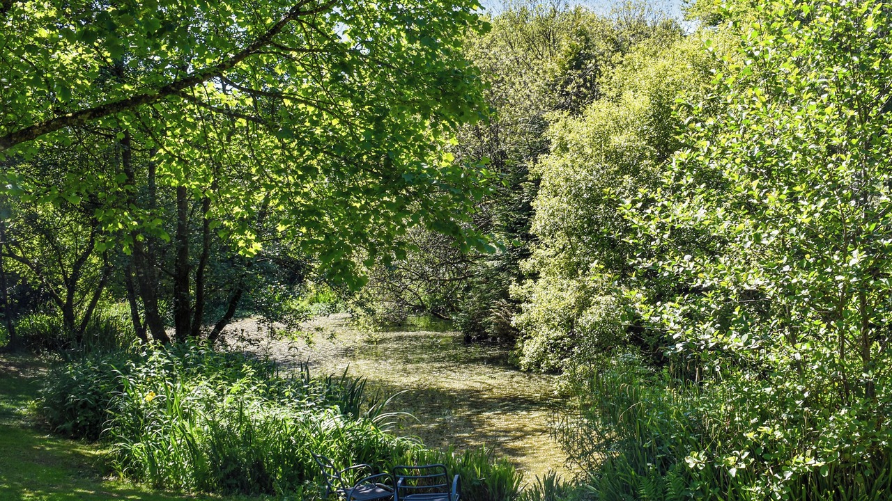 Photo of Others in Callington