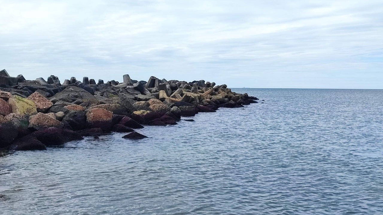 Photo of Others in Agger