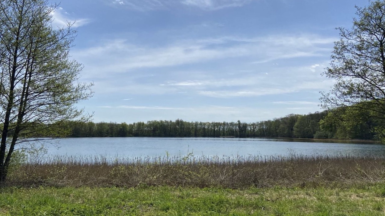 Photo of Others in Ribe