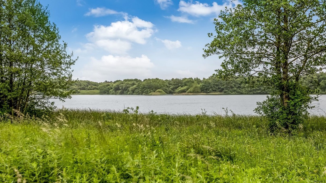 Photo of Others in Ribe