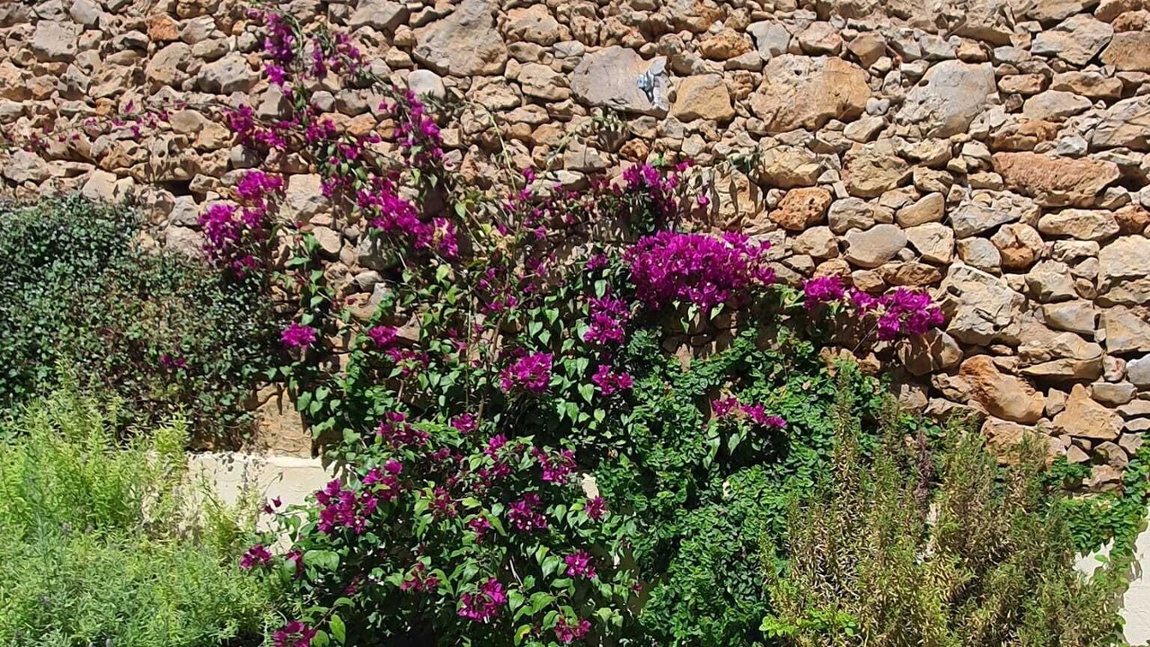 Photo of Outdoor in Bellcaire d'Emporda