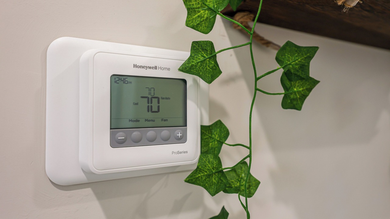 Photo of Others in Mantua