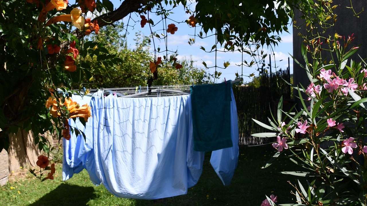 Photo of Outdoor in Escueillens-et-Saint-Just-de-Belengard