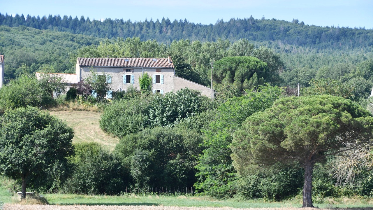 Photo of Outdoor in Escueillens-et-Saint-Just-de-Belengard