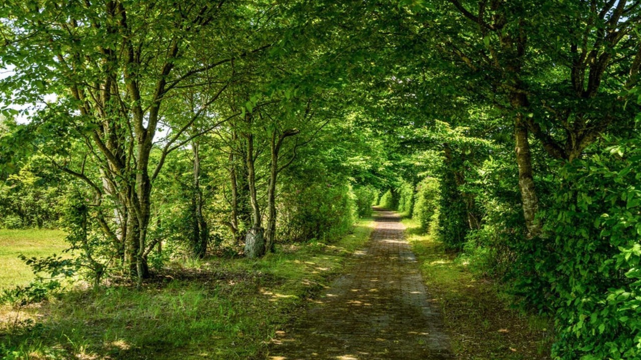 Photo of Outdoor in Hampen