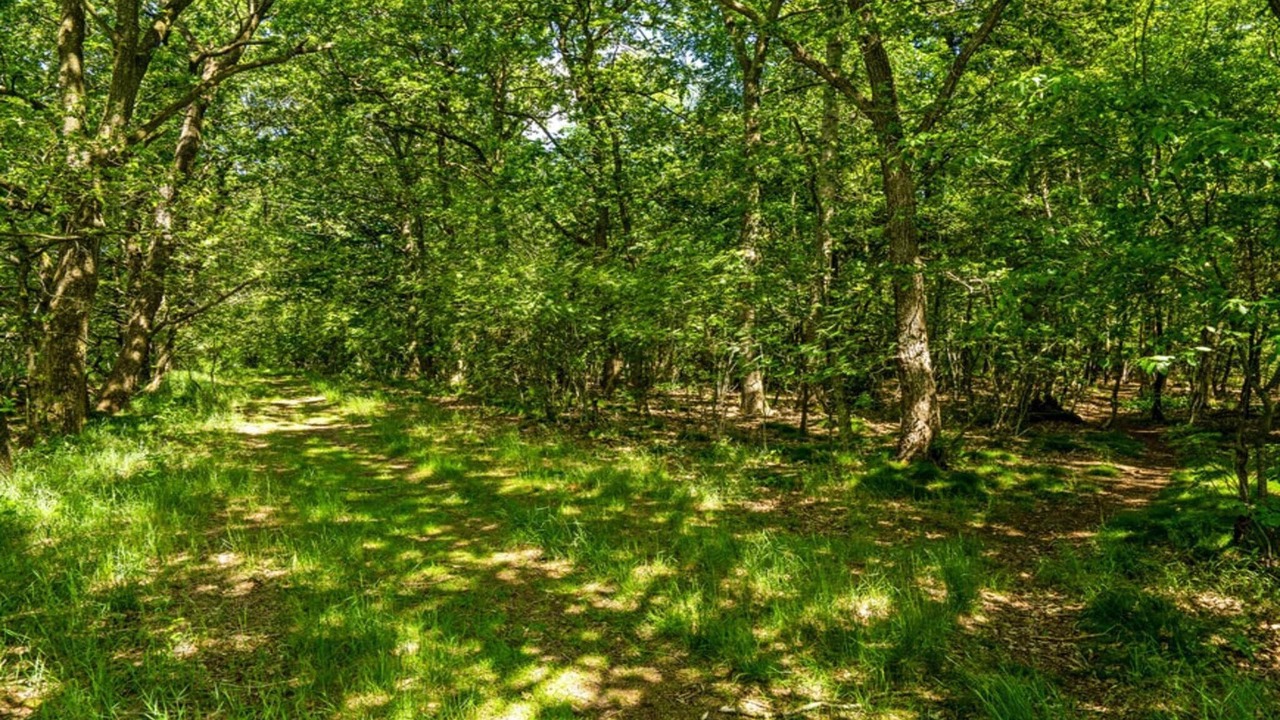 Photo of Outdoor in Hampen
