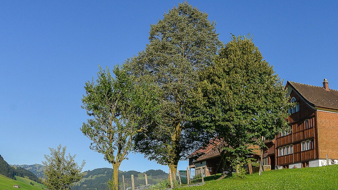 Photo of Outdoor in Ruete