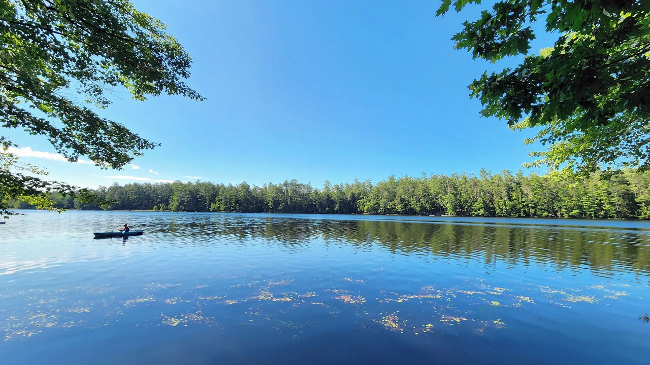 Photo of Others in Waterford