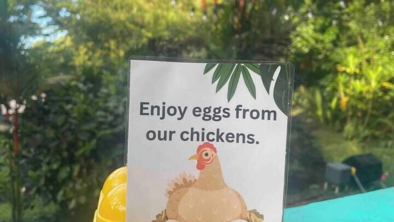 Photo of Others in Waa Waa