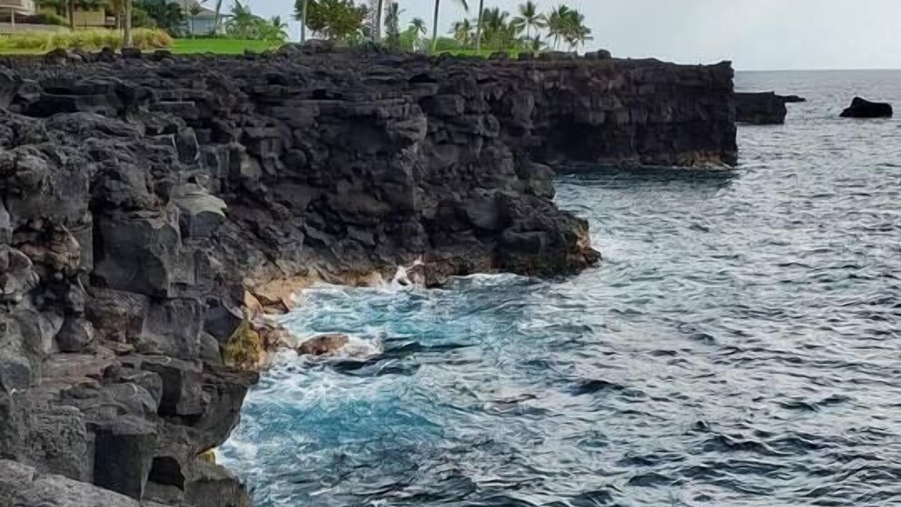 Photo of Others in Waa Waa