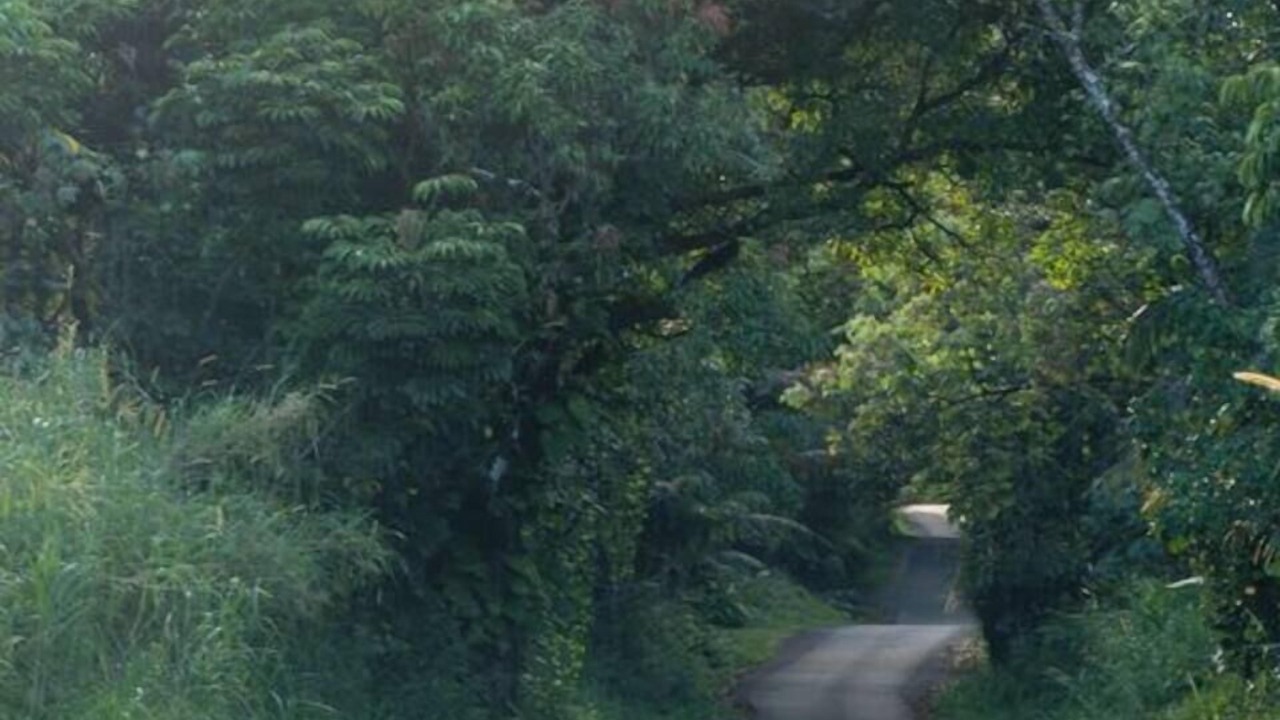 Photo of Others in Waa Waa