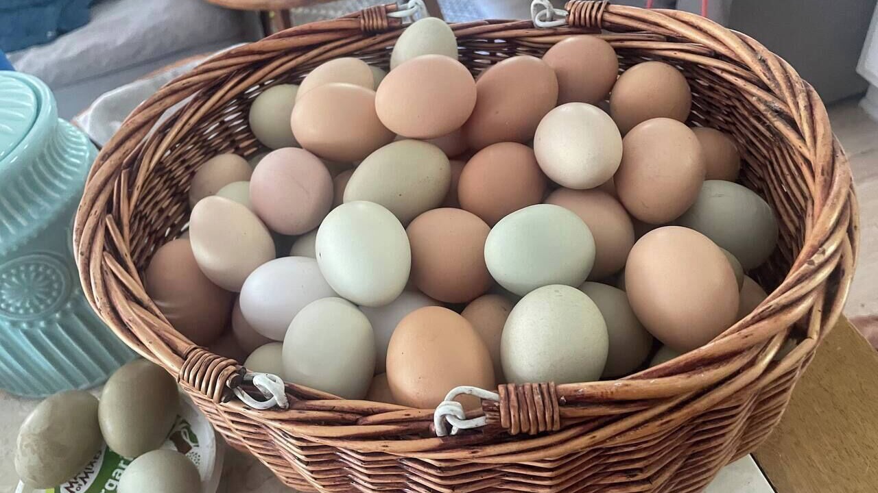 Photo of Others in Waa Waa