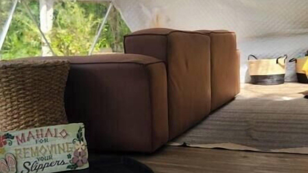 Photo of Others in Waa Waa