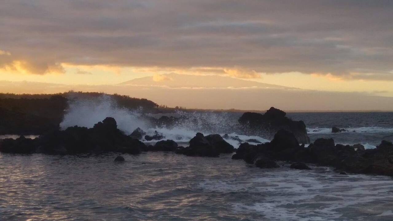 Photo of Others in Waa Waa